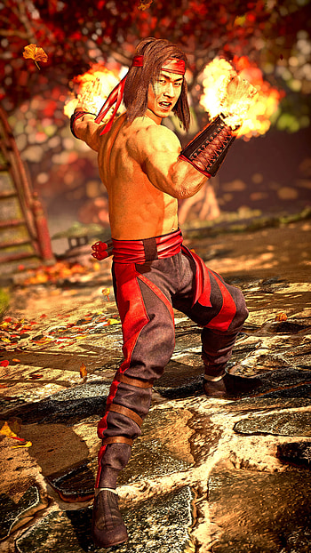 Liu Kang Young Justice, Reddit post, Comment search, Socialgrep HD phone wallpaper