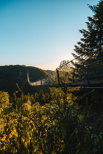 Nature, Trees, Grass, Rocks, Bridge HD phone wallpaper
