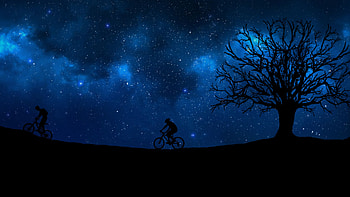 Vector, Silhouette, Starry Sky, Cyclist HD wallpaper