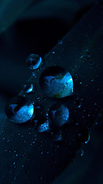 Macro Water Drops Dark Blue Grass HD phone wallpaper