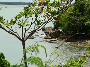 Puerto Rico Patillas, puerto rico, patillas HD wallpaper