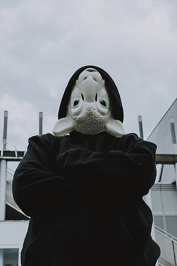 Miscellanea, Miscellaneous, Mask, Hoodie, Hoodies, Hood, Sheep HD phone wallpaper