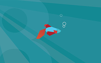 Windows 10 Fish (Mobile, iPad) HD wallpaper
