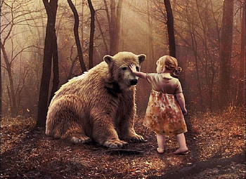 Affection, tenderness, strange, woods, girl, misty, little, fog, bear, love, cool, girls, sunset HD wallpaper