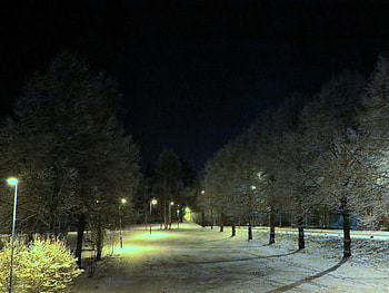 Winter, morning, early, snow HD wallpaper