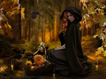 Witch, crow, fantasy, dark HD wallpaper