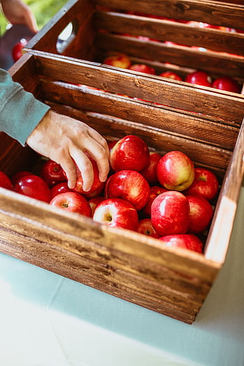 A hand picks ripe and juicy red apples from a rustic wooden crate, emphasizing a fresh harvest. HD phone wallpaper