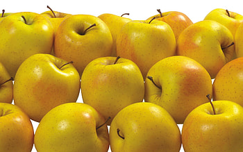 Fruits, Food, Apples, Delicious, Useful HD wallpaper