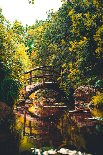 Nature, Rivers, Usa, Bridge, United States, Austin HD phone wallpaper