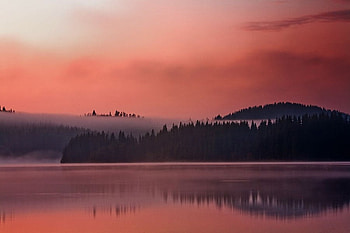 Mist sunset, graphy, mountain, mist, fog, reflection, bulgaria, trees, forest, sunset HD wallpaper