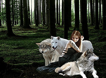 Wolf Maiden, maid, wolves, forest, green HD wallpaper