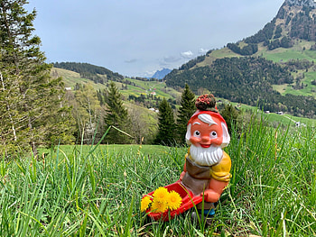 Gnome Trail of Rigi Burggeist, Nature Trail HD wallpaper
