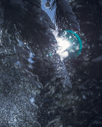 Snow, Macro, Glare, Shine, Bright, Brilliance, Branch, Boquet, Bokeh HD phone wallpaper