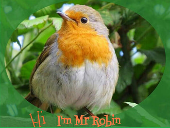 I'm Mr Robin, Mr, Breast, Red, Robin HD wallpaper