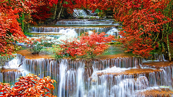 falls to see, plants, pools, falls, river, trees, redleaves HD wallpaper