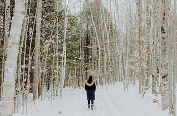 Winter, Snow, Miscellanea, Miscellaneous, Forest, Garden, Loneliness HD wallpaper
