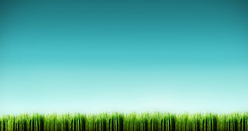 Grass Blades , fantasy, 3d HD wallpaper