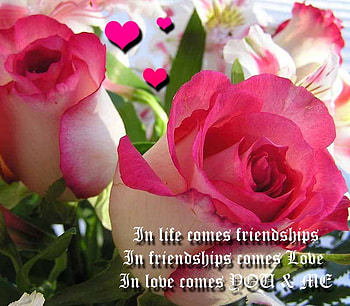 Pink Roses For You ....., pink, him, roses, love, hearts, her, beauty HD wallpaper