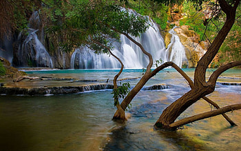waterfall , falls, trees, water, rocks HD wallpaper