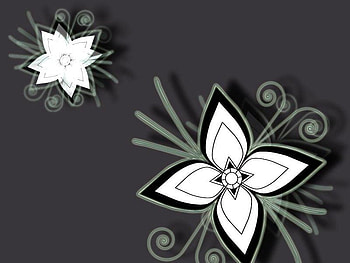 Flower, abstract HD wallpaper