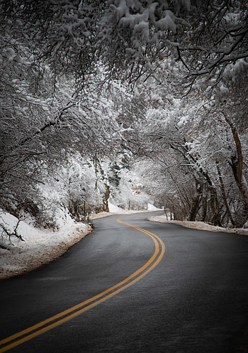 Winter, Nature, Trees, Snow, Road, Turn, Asphalt HD phone wallpaper