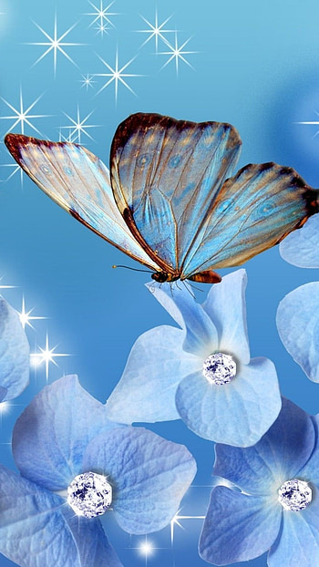 Blue Diamond, Butterfly, Blue Flowers, Background HD phone wallpaper