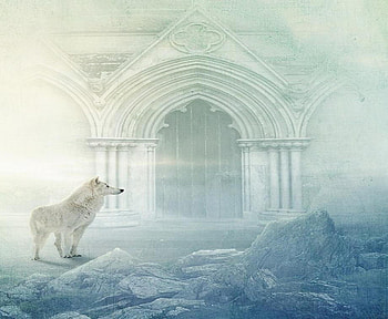 Out of the Mist, animal, abstract, fantasy, white wolf HD wallpaper