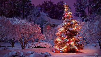 Winter Christmas HD wallpaper