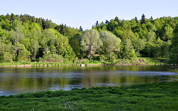 Nature, Rivers, Trees, Grass, Shore, Bank HD wallpaper