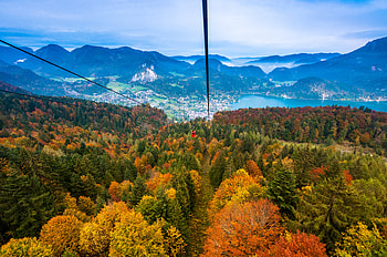 Nature, Trees, Mountains, Autumn, View From Above, Cableway, Cable Car HD wallpaper