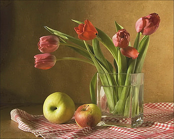 still life, apples, bouquet, vase, flowers, tulips HD wallpaper
