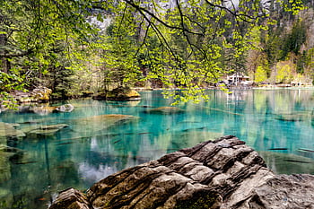 Explore the serene beauty of Blausee Lake with clear waters and lush forest scenery. HD wallpaper