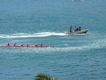 Rowing, water, pacific, ocean HD wallpaper