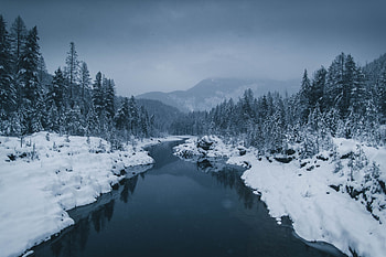 Winter, Nature, Rivers, Trees, Snow, Fog HD wallpaper