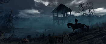 The Witcher 3 Wild Hunt 2017 HD wallpaper