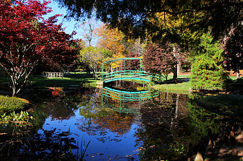 Autumn Lake, Lake, USA, Pond, Bridge HD wallpaper