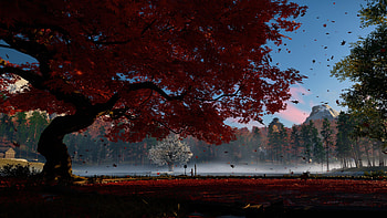 Ghost of Tsushima, Maple Tree HD wallpaper