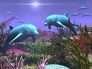 Dolphins Play, reef plants, sun on water, ocean, dolpins HD wallpaper