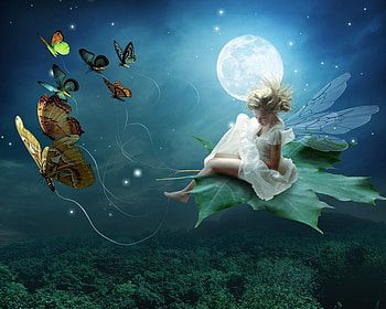 Moonlit Fairy, fairy, butterflies, sleigh, moonlight, leaf, beautiful, surreal, forest HD wallpaper