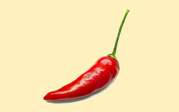 Pepper , Spicy flavor, Culinary delight, Vibrant backgrounds HD wallpaper