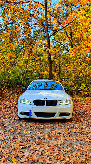 White BMW E90, 3er, cars, leafs, 3series, autumn, carguy HD phone wallpaper