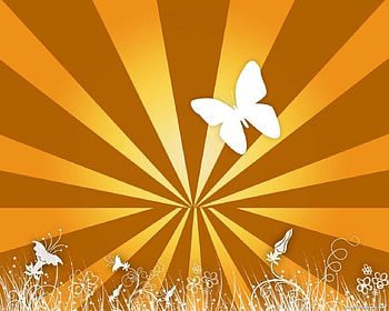 Sun and Butterfly, rays, plants, butterfly, silhouettes, vector HD wallpaper