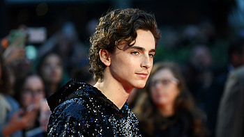 2019 BFI London Film Festival, Timothee Chalamet HD wallpaper