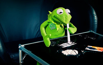 Kermit the frog cocaine 1680 HD wallpaper