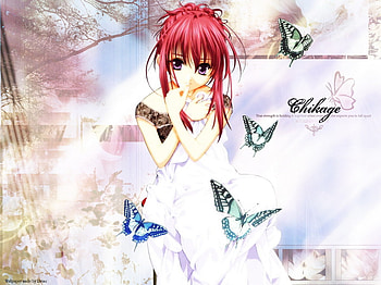 Chikage___true_strength, sexy, , other, hot, cute, anime, cool, girls, women HD wallpaper