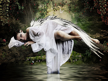 Resting Wings, nature, water, green, woman HD wallpaper