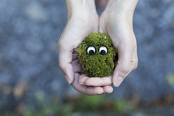 Miscellanea, Miscellaneous, Eyes, Hands, Moss HD wallpaper
