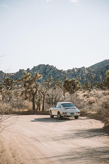 Cactuses, Cars, Road, Car, Retro HD phone wallpaper