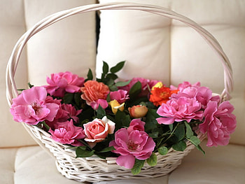 Flowers on the couch, basket, roses, room, nature, flowers, couch HD wallpaper