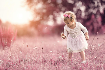 Little flower, white, girl, dress, alessandro di cicco, copil, summer, pink, field, flower, child HD wallpaper